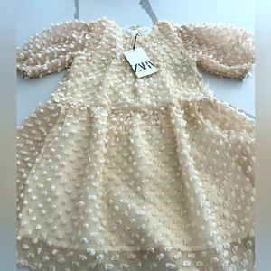 Textured polka dot Zara dress.